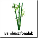 Nincs kép beállítva 